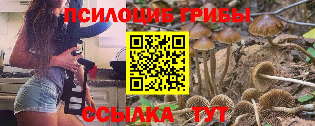 Псилоцибиновые грибы мухоморы Сердобск