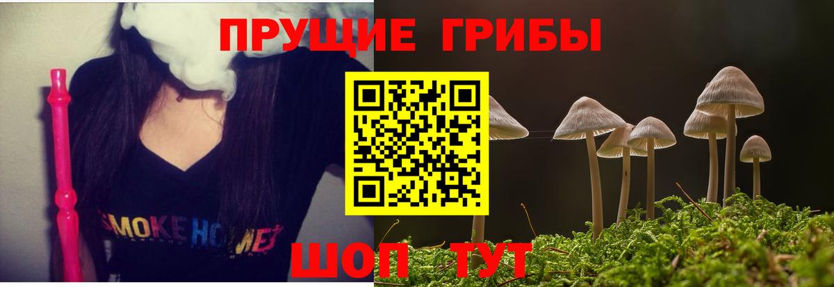 Галлюциногенные грибы мицелий  Вход с VPN  Псилоцибиновые грибы Cubensis  Сердобск 